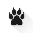 Amarok icon