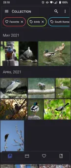 Aves Gallery screenshot 1