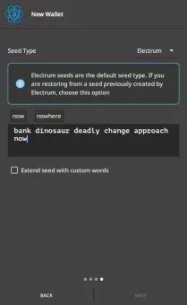 Electrum Bitcoin Wallet screenshot 2