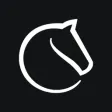 Lichess icon