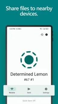 LocalSend screenshot 1