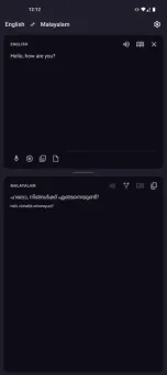 Offline Translator screenshot 4